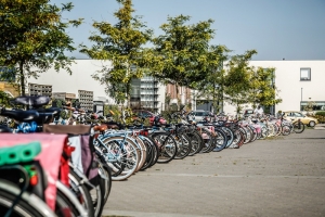 201410033371_poelveld-eijsden.jpg