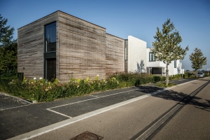 201410033295_poelveld-eijsden.jpg